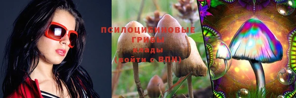 a pvp Белоозёрский