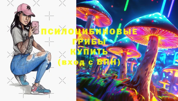 дмт Белокуриха
