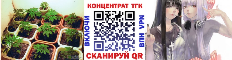 Купить  Заринск  ТГК Wax 